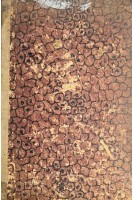 Клиника болезней крови и кроветворных органов (БУ). Аринкин М.И.