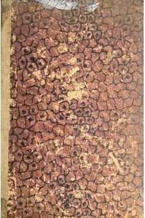 Клиника болезней крови и кроветворных органов (БУ). Аринкин М.И.