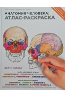 Анатомия человека: атлас-раскраска. Уинн Кэпит Лоуренс М. Элсон