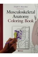 Musculoskeletal Anatomy Coloring Book . Joseph E. Muscolino