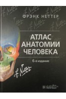 Атлас анатомии человека. 6-е изд. терминология на латинском и русском языках. Неттер Ф.; Пер. с англ.; Под ред. Л. Л. Колесников