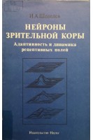 Нейроны зрительной коры. Адаптивность и динамика рецептивных полей (БУ). Шевелев И.А.