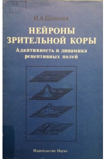 Нейроны зрительной коры. Адаптивность и динамика рецептивных полей (БУ). Шевелев И.А.