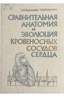 Сравнительная анатомия и эволюция кровеносных сосудов сердца(БУ). Кульчинский К.И. Роменский О.Ю.