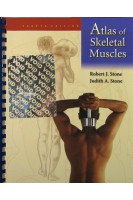 Atlas of Skeletal Muscles. Robert J. Stone Judith A. Stone