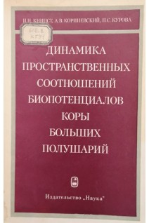 Динамика пространственных соотношений биопотенциалов коры больших полушарий. Книпст И.Н. Кориневский А.В. Курова Н.С.