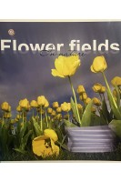 Зошит в клітинку Flower fields. 36 аркушів