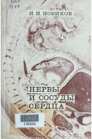 Нервы и сосуды сердца (эмбриологическое исследование) (БУ). Новиков И.И.