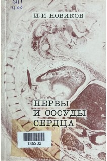 Нервы и сосуды сердца (эмбриологическое исследование) (БУ). Новиков И.И.