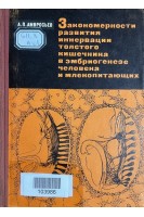 Закономерности развития иннервации толстого кишечника в эмриогенезе человека и млекопитающих (БУ). Амвросьев А.П.