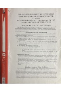 The passive part of the supporting (weight-bearing) and locomotor system osteosyndesmology the science of the bones and their articulations general osteology osteologia (БУ). Logvinenko V.A.