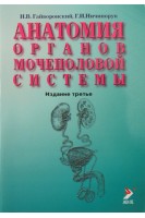 Анатомия органов мочеполовой системы. Гайворонский И.В. Ничипорук Г.И.