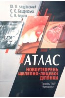 Атлас новоутворень щелепно-лицевої ділянки: посібник. Бандрівський Ю.Л. Бандрівська О.О. Авдєєв О.В.