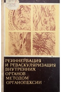 Реиннервация и реваскуляризация внутренних органов методом органопексии (БУ). Свирновская Э.Л.