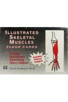 Illustrated Skeletal and Muscle Flash Cards. David Garrison