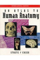 An Atlas to Human Anatomy. Dennis Strete Christopher H. Creek