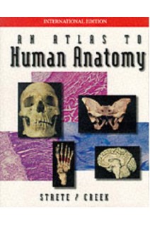 An Atlas to Human Anatomy. Dennis Strete Christopher H. Creek