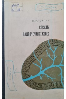 Сосуды надпочечных желез (БУ). Сапин М.Р.