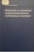 Нейроны и синапсы супраспинальных моторных систем (БУ). Шаповалов А.И.