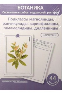 Ботаника. Систематика грибов водорослей растений. Подклассы магнолииды ранункулиды кариофиллиды гамамелидиды дилленииды. КАРТОЧКИ (44 шт). Луферов А.Н. Анцышкина А.М. Простодушева Т.В.