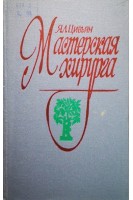 Мастерская хирурга (БУ). Цивьян Я.Л.