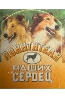Похитители наших сердец (БУ)