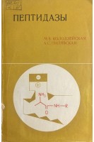 Пептидазы (БУ). Колодзейская М.В. Пилявская А.С.