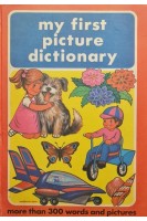 My first picture dictionary (БУ). Sandu Singer