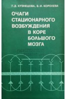 Очаги стационарного возбуждения в коре большого мозга (БУ). Кузнецова Г.Д. Королева В.И.