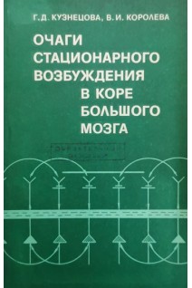 Очаги стационарного возбуждения в коре большого мозга (БУ). Кузнецова Г.Д. Королева В.И.