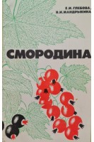 Смородина (БУ). Глебова Е.И.
