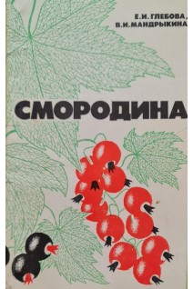 Смородина (БУ). Глебова Е.И.