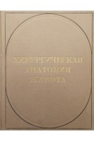 Хирургическая анатомия живота (БУ). Максименкова А.Н. Бисенков НП.