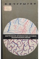 Морфология кровеносных сосудов обонятельного мозга (БУ). Турыгин В.В.