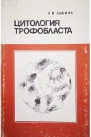 Цитология трофобласта (БУ). Зыбина Е.В.