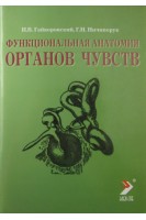 Функциональная анатомия органов чувств. Гайворонский И. В. Ничипорук Г.И.
