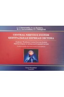 Central Nervous System (Центральная нервная система). Рабочая тетрадь к учебному пособию. Гайворонский И.В. Гайворонская М.Г. Курцева А.А.