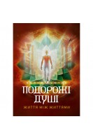 Подорожі душі. Життя між життями. Майкл Ньютон