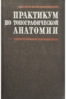 Практикум по топографической анатомии (БУ). Гудимов Б.С.