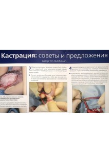 Плакат ТЕХНИКА КАСТРАЦИИ 84х59 см