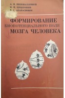 Формирование биопотенциального поля мозга человека (БУ). Шеповальников А.Н.