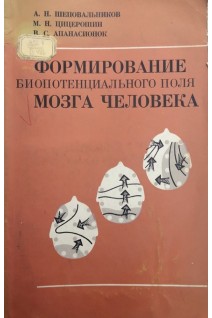Формирование биопотенциального поля мозга человека (БУ). Шеповальников А.Н.