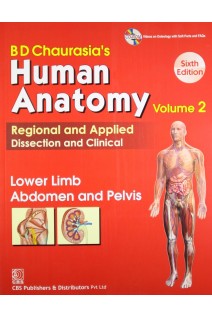 BD Chaurasias Human Anatomy 4 Volume Set. 6th Edition ( Vol.2: Lower Limb Abdomen and Pelvis) (БУ). BD Chaurasia