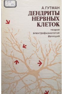 Дендриты нервных клеток (БУ). Гутман А.