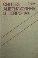 Синтез ацетилхолина в нейронах (БУ). Тучек С.