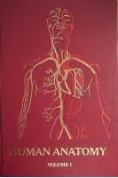 Human Anatomy. In Three Volumes. Volume I (БУ). Koveshnikov V.H. (Ковешніков В.Г.)