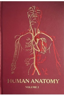 Human Anatomy. In Three Volumes. Volume II (БУ). Koveshnikov V.H. (Ковешніков В.Г.)