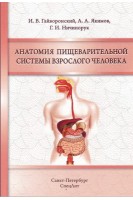 Анатомия пищеварительной системы взрослого человека. Гайворонский И. В.Якимов А.А. Ничипорук Г.И.
