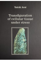 Transfiguration of cellular tissue under stress. Yoichi Arai