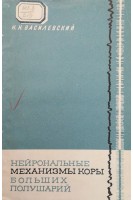 Нейрональные механизмы коры больших полушарий (БУ). Василевский Н.Н.